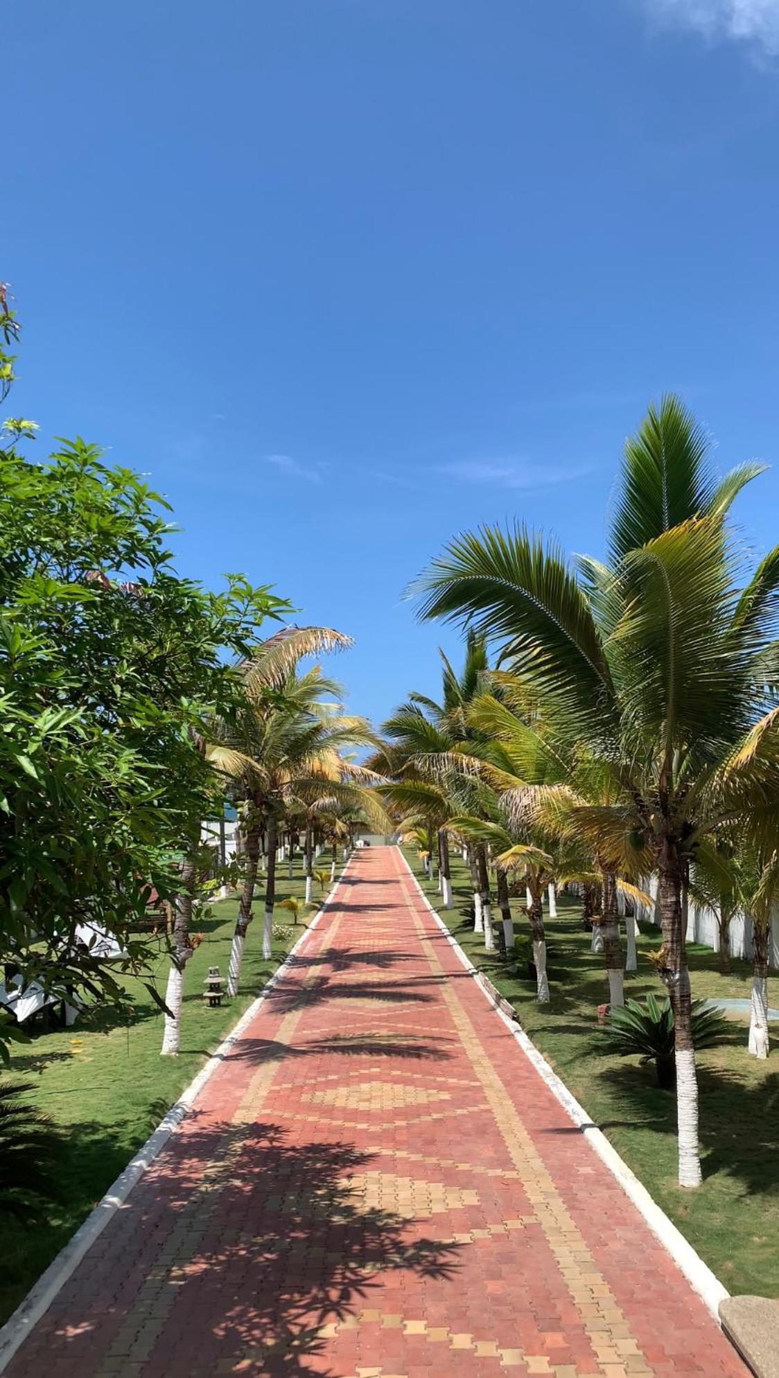 Hotel La Mar Playas Extérieur photo